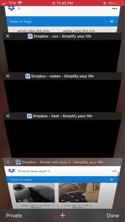 2021 Thot Dropbox/megas deals I’ll toss 2 Dropboxes free for shopping