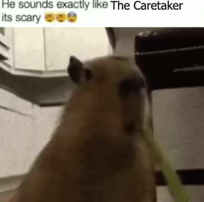 WOW