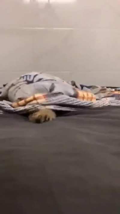 Peekaboooo