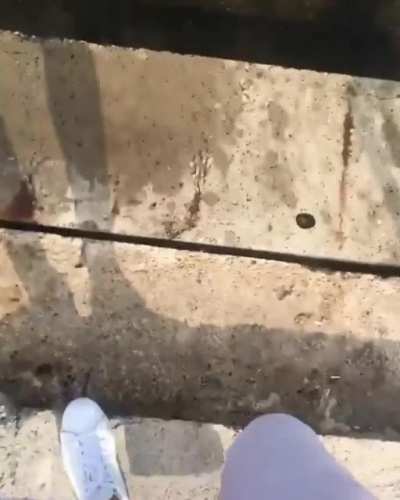 Such a lovely view