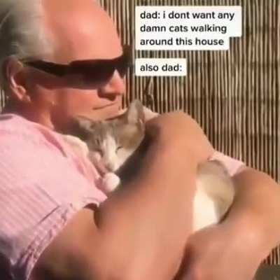 No pets allowed