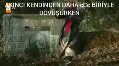 cCc