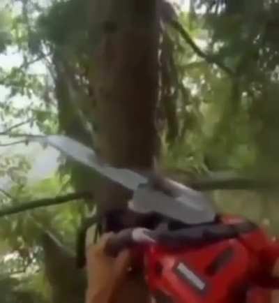 ?
