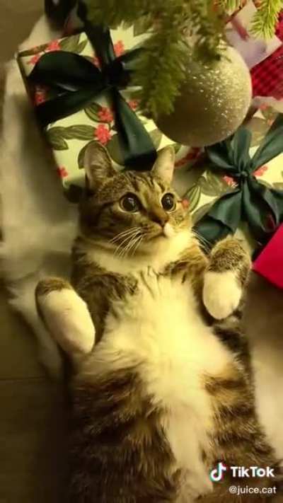 Touch Tha ornament