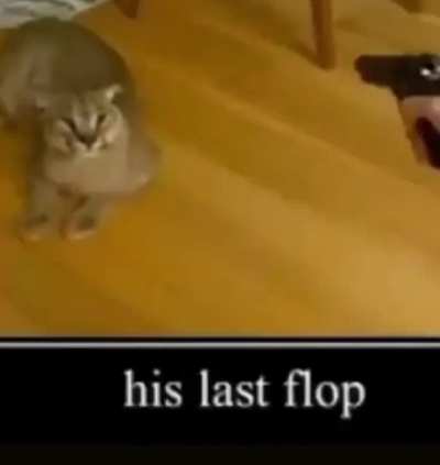 NOOOOO