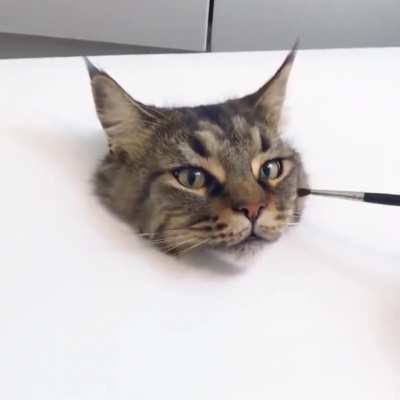 Extremely realistic cat painting!