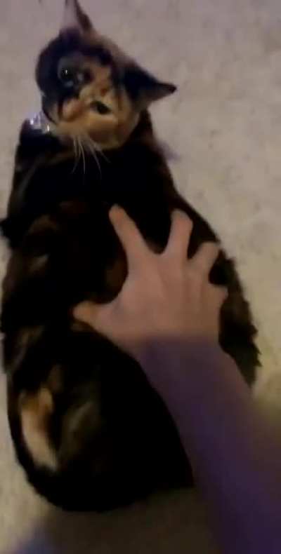 q