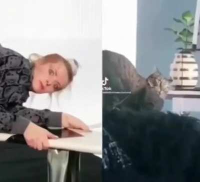 Cat lady