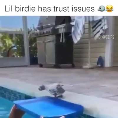First thing that made me smile this morning