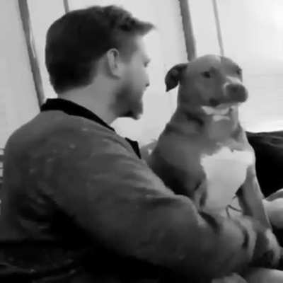 O meu cachorro rola o meu fica de p&eacute; e o meu da tapa