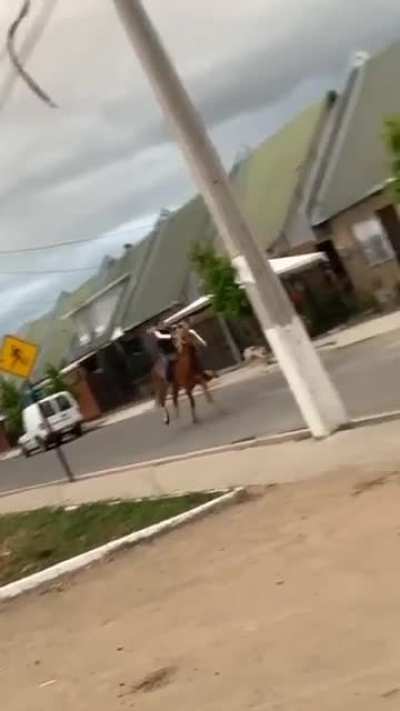 El m&aacute;s vio de Temuco: