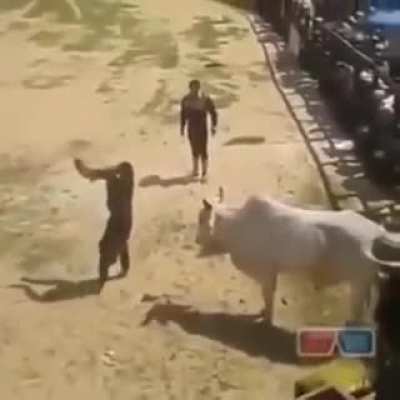 Thought he was gonna get mauled
