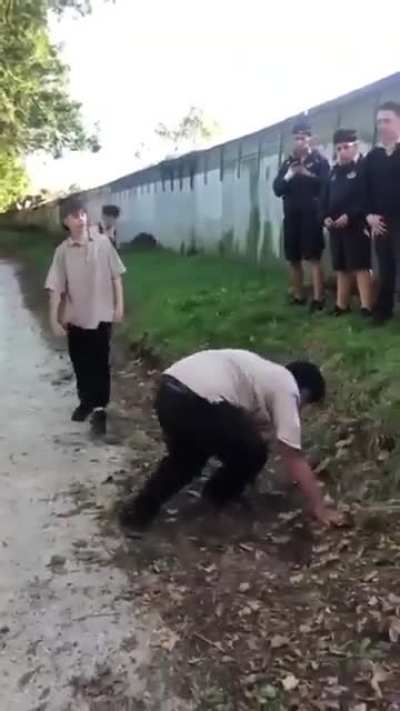 Nz school fight