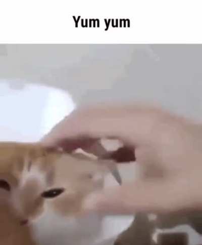 Rule