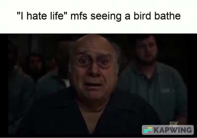 Indomitable bird spirit.