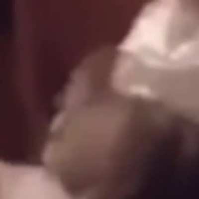 just a cat sneezing