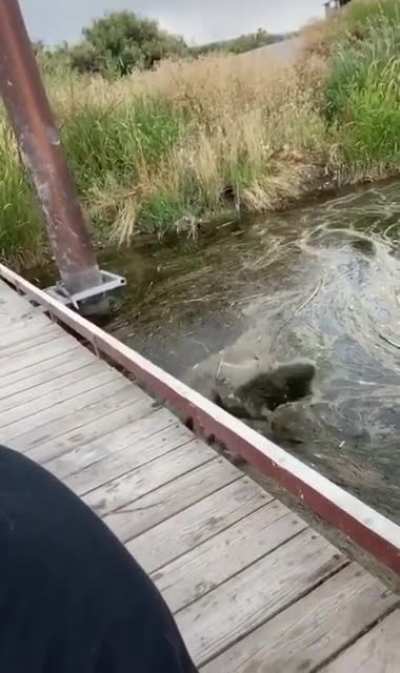 That&rsquo;s not the ground