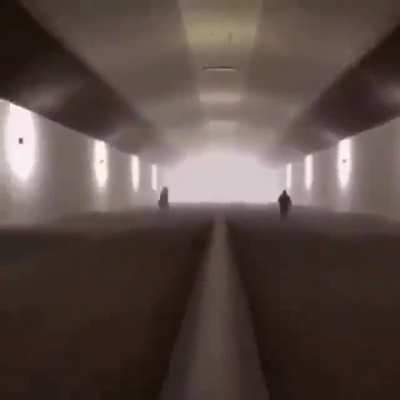 choo