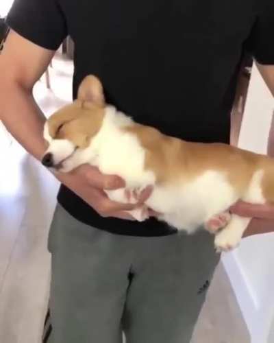 Sleeping loaf