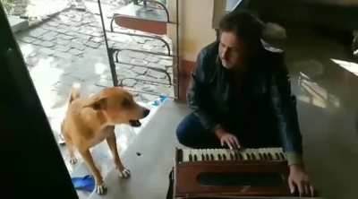 "Tu rehne de bhai mai gaa lunga"