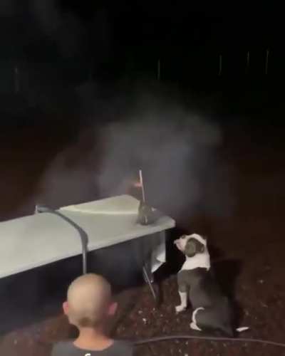 To fly