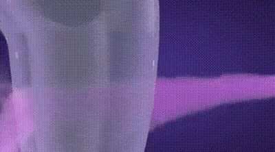 When I hear the term &ldquo;crotch rocket&rdquo;