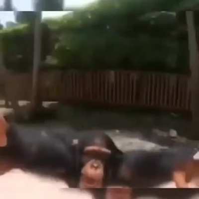 Monke (: