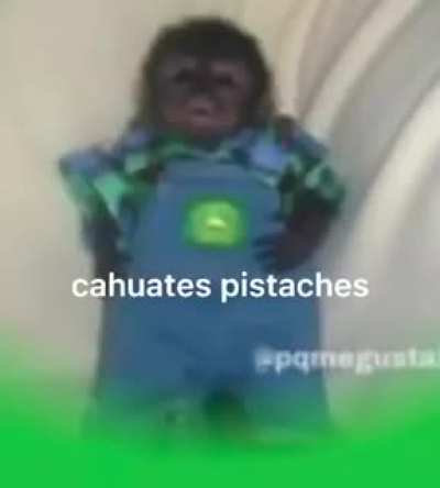 Cahuates pitaches