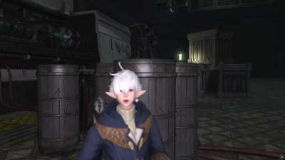 "There arnt any more Ascians, Warrior of Light. Theyre all gone! What do you mean you cant hear me over the music? What music?"