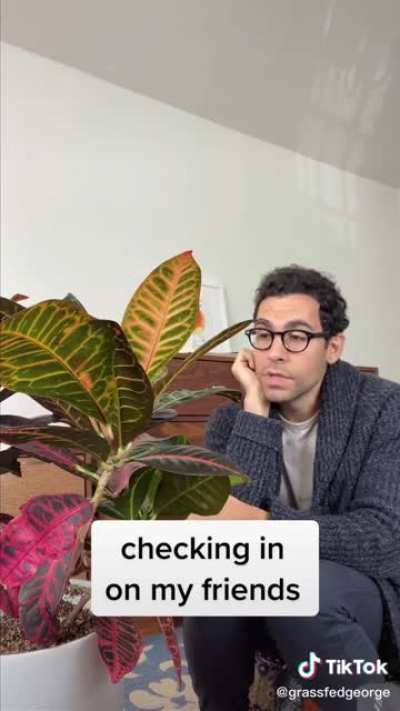 Checking in on my friends