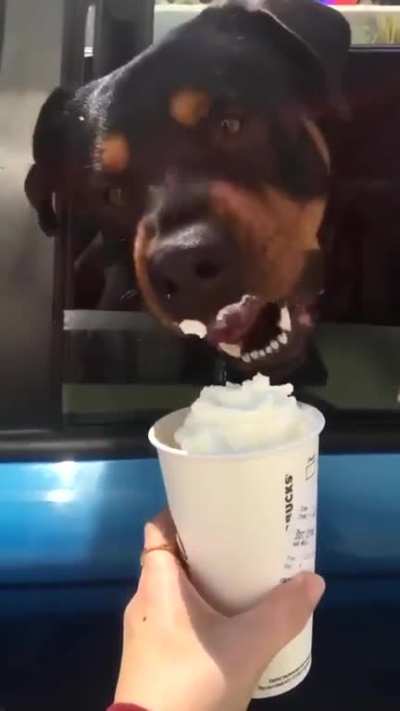 "Is that vanilla? Yes; thank you, i'll take it from here..."