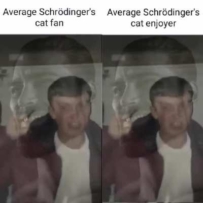 Average fan enjoyer