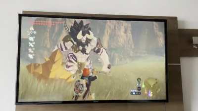 My son&rsquo;s (8) preferred method of Lynel killing - simple yet effective