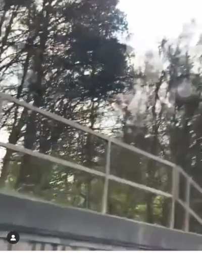 Soze (9thstreet) pulled over &amp;amp; arrested by armed police