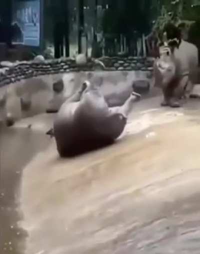 Maybe maybe maybe