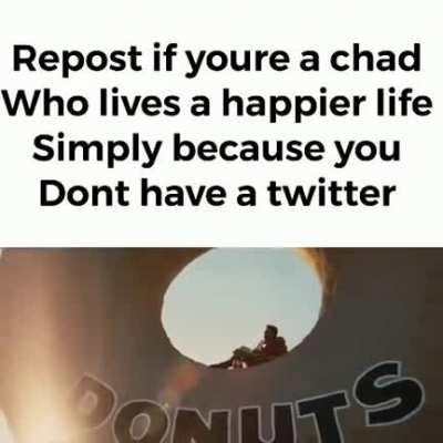 🗿🗿🗿