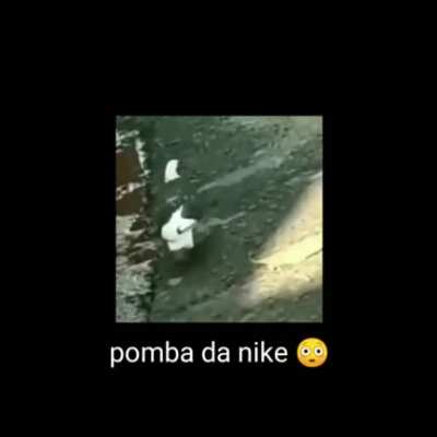 Pomba da Nike full 4k hb