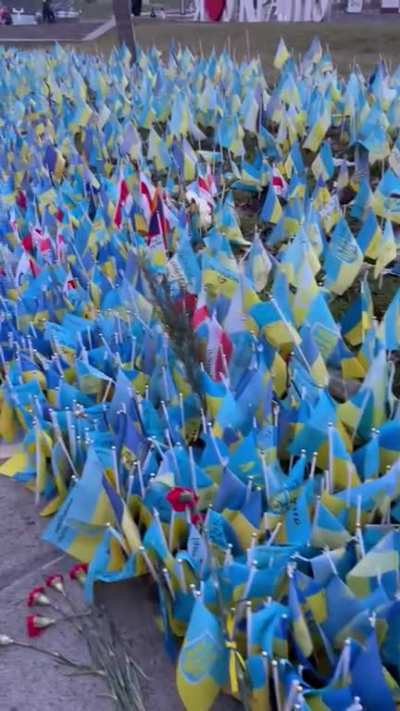 One Ukrainian woman&rsquo;s message to trolls/ disbelievers
