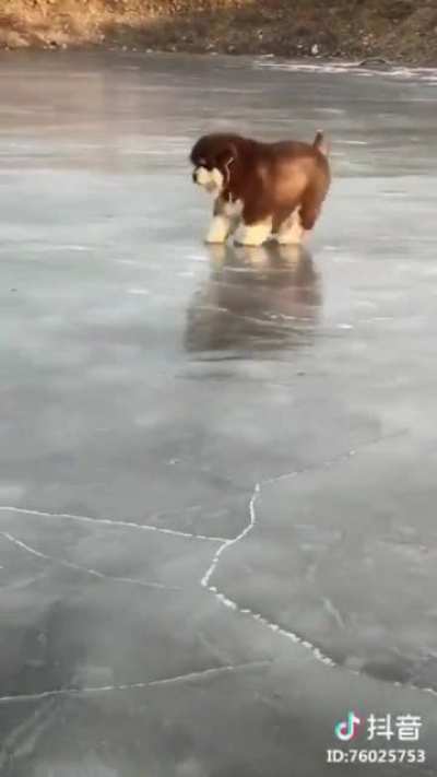 Walking on ice