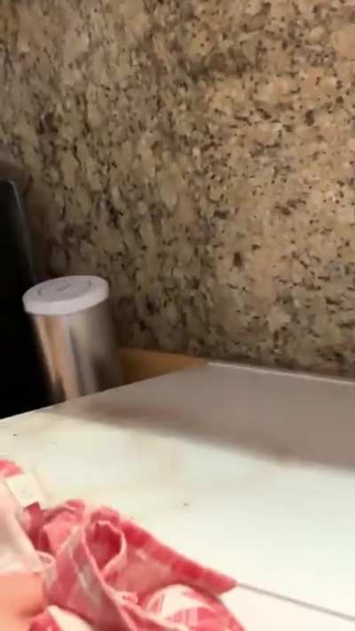 Gas stove