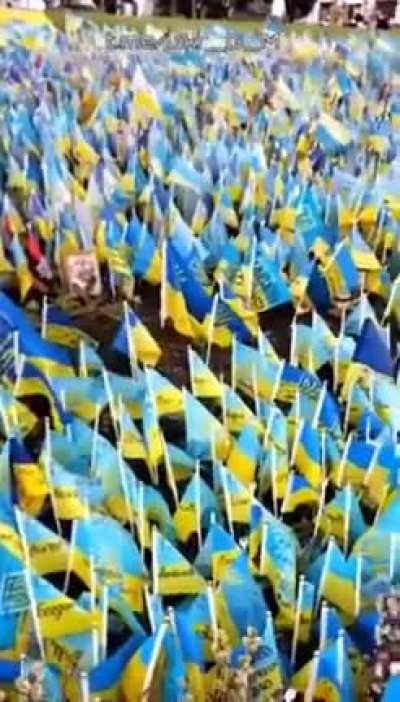 UA POV Flags in memories of individual soldiers and foreign fighters killed in Bakhmut