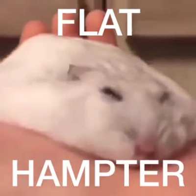 Pancake