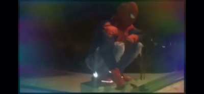 Where was this spider person in Beyond The Spiderverse