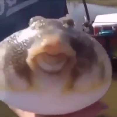 Creature