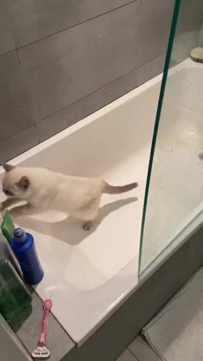3am adventure into the bathtub gone wrong
