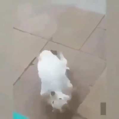 Камасутра какая-то