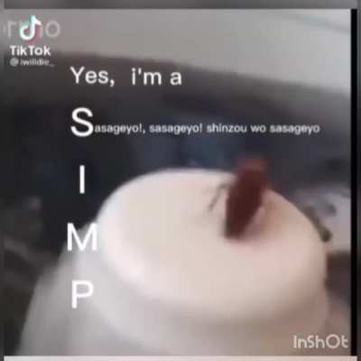 Eres simp? Yo si