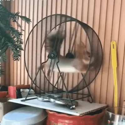 Going round and round