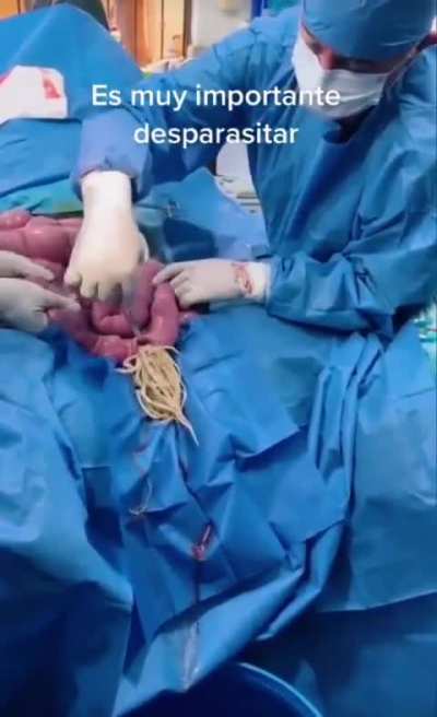 Cursed Spaghetti