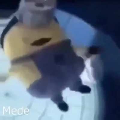 XD